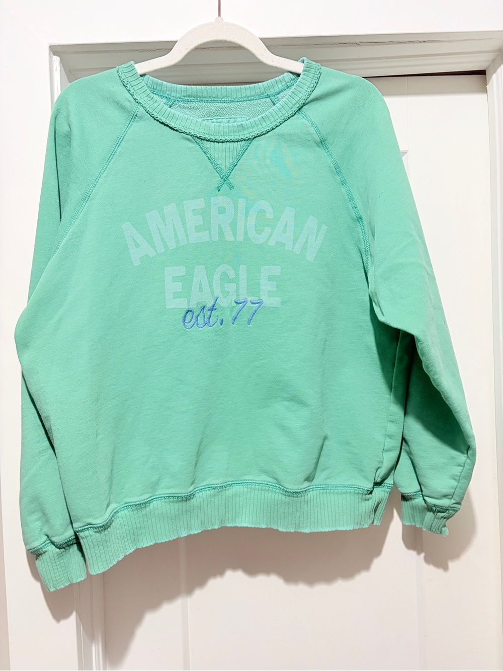 American Eagle Outfitters Green Crewneck Pullover